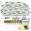 bfruitful Freeze-Dried Pineapple, Freeze Dried Fruit Snacks with No Sugar Added, Vegan, Non GMO, Kosher, Wholesome Fruit Bites, Perfect for Kids or Adults, 0.56 oz Single-Serve, 24 Count view 1