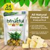 bfruitful Freeze-Dried Pineapple, Freeze Dried Fruit Snacks with No Sugar Added, Vegan, Non GMO, Kosher, Wholesome Fruit Bites, Perfect for Kids or Adults, 0.56 oz Single-Serve, 24 Count view 2