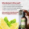 Barlean's 2 Pack Olive Leaf Complex Throat Spray with Peppermint, Lemon, and Sage for Itchy Throat Relief, Immune Support Supplement, Liquid Blended Extract, 1.5 oz view 3