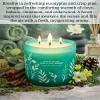 Eucalyptus Pine Clove Woods Scented Candle - Large 3-Wick Aromatherapy Soy Candle for Home, 14.5oz - Pine Balsam Forest Stress Relief Candle - Birthday Gift for Women & Men view 2