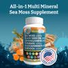 Yemay The Natural Way All-in-1 Multi Mineral Sea Moss Raw Organic Supplement, with Organic Seamoss Black Seed Oil Ashwagandha Burdock Root, Turmeric, Vitamin C, & More, 60 Vegan Capsules view 2