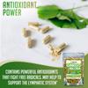 XPRS Nutra Ginkgo Biloba Capsules - Gingko Biloba Encapsulated Supplements for Cognition - Vegan Friendly Ginkoba Biloba - Immunity Boosting Ginkgo Biloba Capsules - 180 Count view 3