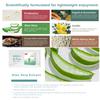 Usoway Healthcare Product, Daily Detox & Digestion Support  Natural Fiber Blend for Bloating Relief, Energy & Light Lifestyle.(14 Sticks, C-TOX) view 3