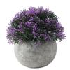 HOOTNEE Vintage Decorative Bonsai Simulation Pot Culture Artificial Plant for Decoration Safe and Odorless Purple view 1