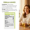 Soilmount - Perillae Folium tea - |Perilla Frutescens|Zisuye||| - Pure Herbal Tea - Natural, Organic, Non-GMO, Clean Ingredients, Caffeine Free (18 Tea Bags, Box 1) view 3