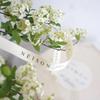 100 Yards/Roll Personalized Twill Contton Ribbon, Custom Logo Cotton Ribbon Wedding Favors Birthday Party New Years Christmas Gifts Accessories For Flowers, Gift Wrap Handmade DIY Sewing Fabric(20mm x view 4