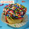 Birthday Gift Basket | Cupcakes Bakery Fresh [9 Count] | Mini Rainbow Sprinkle Cupcakes Individually Wrapped | Birthday Treats for Kids, Men, Women| Kosher, Nut Free | Sterns Bakery view 4