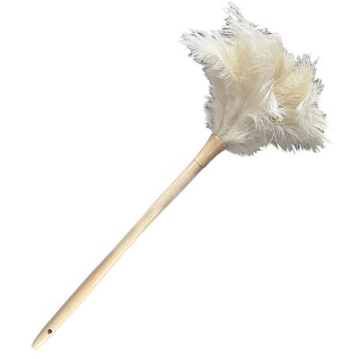 19.7 Inch Ostrich Feather Duster Soft Dusting Brush for Home, Office, and Furniture Cleaning (Off White)