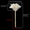 19.7 Inch Ostrich Feather Duster  Soft Dusting Brush for Home, Office, and Furniture Cleaning (Off White) view 2