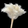 19.7 Inch Ostrich Feather Duster  Soft Dusting Brush for Home, Office, and Furniture Cleaning (Off White) view 3