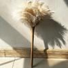 19.7 Inch Ostrich Feather Duster  Soft Dusting Brush for Home, Office, and Furniture Cleaning (Off White) view 4