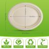 120 Pack Compostable Oval Disposable Plates,Bulk Heavy Duty Paper Plates 12 Inch,Eco Friendly Biodegradable Sugarcane Fiber Dinner Plates for BBQ, Party, Gathering, and Picnic view 2