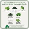 WonderGreens Kids Super Veggie Gummies  Sugar-Free, Allergen-Free Multivitamin for Picky Eaters with Probiotics  Tummy & Immune Support  Green Apple Flavor (30 Count) view 4