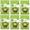 NineLife Basics Pack Of 6 Organic Wasabi Roasted Seaweed Snack 0.17 oz view 1