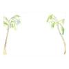 Caspari Painted Palm Trees Correspondence Cards - 12 Per Package view 1