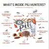 Pili Hunters Wild Sprouted Pili Nuts - Raw Cacao & Organic Coconut Sugar - Paleo & Vegan Keto Snack for Low Carb Energy - Gluten & Dairy Free Superfood - Non-GMO - As Seen on Shark Tank - (16 oz Bag) view 4