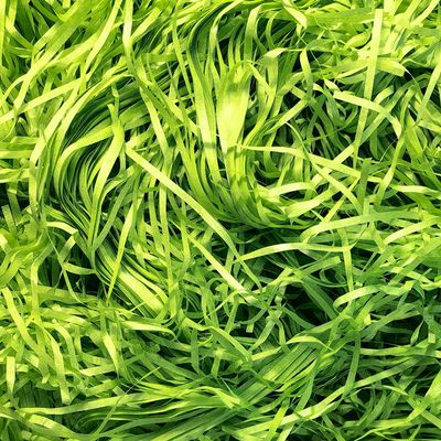 Amsthow Shred Paper Filler Gift Wrap Basket Grass 1/2 LB Green Cut Basket Packing Filling Raffia Paper for Easter Box Birthday Party Decoration Wedding