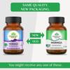 Generic Senta Moringa 60 Capsules Bottle with Free Moringa Capsule Sample view 2