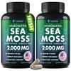 Sea Moss Capsules - Irish Sea Moss Advanced with Burdock Root, Bladderwrack & Muira Puama for Immunity, Gut, & Energy - Superfood Sea Moss Supplements w/Raw Sea Moss Powder (2 Pack) view 1