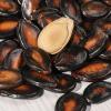 Plum flavored melon seeds 8.81oz Sweet and Sour Black Melon Seeds with Plum Flavor(250g/bag) view 2