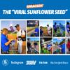 SMACKIN' Sunflower Seeds, Roasted Jumbo Small-Batch, American Made - 6 Flavor Variety. 1.5oz bags (6 Bags) view 4