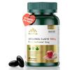 High Absorption Coq10 Ubiquinol with 5mg BioPerine, CoQ10 100mg Supplement Supports Heart, Cellular Energy & Antioxidant Defense, Non-GMO, Gluten Free Vegetarian Softgels, 60 Count - 2 Month Supply view 1