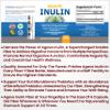 Agave Inulin Capsules Digestive Support Soluble Fiber Prebiotic Agave Inulin 120 Ct. view 4