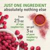 SEL BERRY Organic Raspberry Powder - 3oz | USDA Certified | Organic Freeze Dried Raspberries | No Sugar Added | Antioxidant-Rich | Ideal for Smoothies, Breakfast & Baking | 30 Years of Excellence view 4