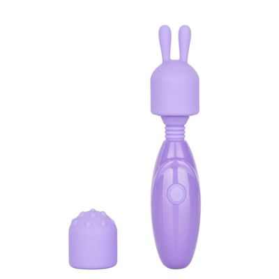 Compact Rechargeable Personal Massager Kit with Attachments SA79005