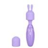 Compact Rechargeable Personal Massager Kit with Attachments SA79005 view 1