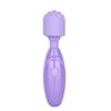 Compact Rechargeable Personal Massager Kit with Attachments SA79005 view 3