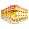 MTR Almond Milk Badam Drink - Ready-to-Drink Authentic Indian Almond Beverage with Almond & Saffron Chunks, Gluten-Free, No Preservatives or Artificial Flavors, Pure Refreshing Drink - Pack of 12 view 1