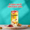 MTR Almond Milk Badam Drink - Ready-to-Drink Authentic Indian Almond Beverage with Almond & Saffron Chunks, Gluten-Free, No Preservatives or Artificial Flavors, Pure Refreshing Drink - Pack of 12 view 2