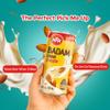 MTR Almond Milk Badam Drink - Ready-to-Drink Authentic Indian Almond Beverage with Almond & Saffron Chunks, Gluten-Free, No Preservatives or Artificial Flavors, Pure Refreshing Drink - Pack of 12 view 4
