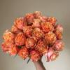 24 Stems Ecuador Carpe Diem Roses Fresh Cut Flowers Arrangement, Mother's Day Birthday gift Lover's Anniversary Wedding Flowers Wholesale Market view 4
