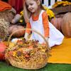 1LB Thanksgiving Crinkle Cut Paper Shred Filler w/Turkey Pumpkin Confetti, Chocolate Brown/Orange/Yellow Raffia Tissue Craft Bedding Cushion for Harvest Fall view 2