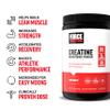 Force Factor Creatine Powder 60 Servings and Vitamin B Complex 60 Capsules Bundle for Muscle Gain, Strength, Energy, and Faster Recovery view 3