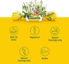 Ricola Original 21 Count & Sugar Free 19 Count Herb Cough Drops Bundles view 4