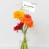 Abeillo 20Pcs Floral Picks Card Holders, 12"" Metal Flower Place Card Holder, Wire Floral Card Holder Picks Clip, Flower Card Holder Stick for Photo Picture Greeting Cards Postcards, Gold view 4