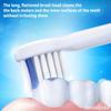 demirdental Active Charcoal Mini Medium Replacement Brush Heads Compatible with Philips Sonicare Small White Toothbrush Heads for Daily Natural & Precision Cleaning Replaces HX4088M 8 Pack view 4
