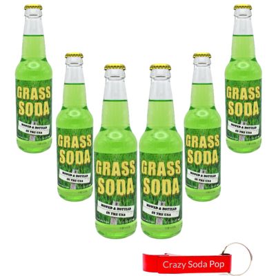 NineLife Basics Grass Soda | 6 Pack of Unique Grass Flavored Soda Pop with Real Cane Sugar | 12 oz Glass Bottles in a 6 Pack with Crazy Soda Pop Bottle Opener