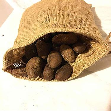 Generic HGU 1LBs Bitter Kola Nuts 100% Natural Garcinia Kola Non GMO in bag