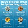 Lung Clear Pro Lung Support Supplement Drops with Wild Mullein Leaf Extract for Lungs and Mucus Relief Support - 2 Fl oz view 3
