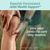 Santo Remedio Articulaciones, Joint Health Support, Promotes Joint Comfort and Function, Contains Clinically Proven Ingredients, TamaFlex, 30 Servings view 4