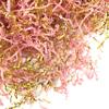 PUROSUR Crinkle Cut Paper Shred Filler Pink & Gold for Gift Wrapping & Basket Filling luxury Gift Box Filler Gift Basket Stuffing Shipping Packaging Craft Party Favor Bags - (4 oz) (Pink & Gold) view 1