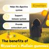 Riyuetian Mullein Gummies, 2000mg Organic Mullein Leaf Extract for Clear Lungs, Boost Respiratory & Digestive, Immune Booster for Adults & Kids, Allergy Friendly, Non-GMO, 120 Gummies view 4