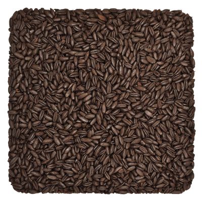 Home Brew Ohio Chocolate Wheat Grain 10lb