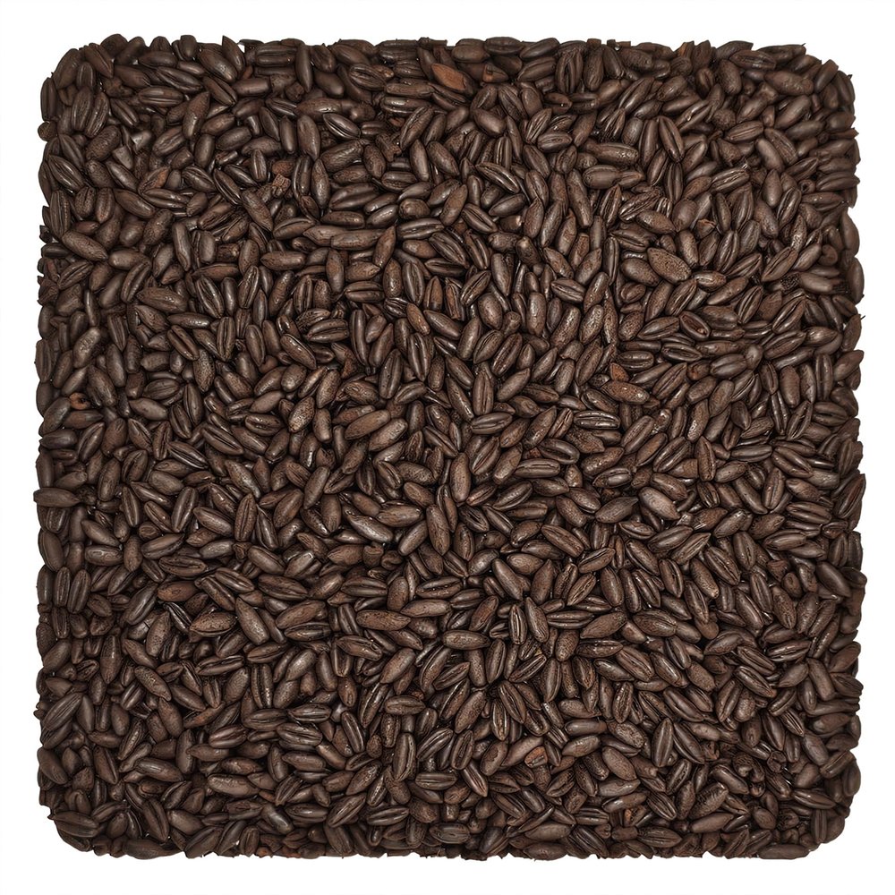 Home Brew Ohio Chocolate Wheat Grain 10lb