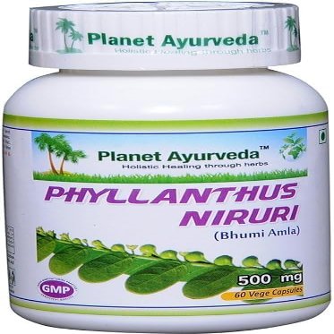 Generic Pub Phyllanthus Niruri - Ayurvedic Supplement for Fatty Liver. Protects from Damage Caused by Allopathic Medicine. (1 Bottle 60 Capsules