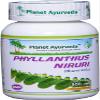 Generic Pub Phyllanthus Niruri - Ayurvedic Supplement for Fatty Liver. Protects from Damage Caused by Allopathic Medicine. (1 Bottle 60 Capsules view 1